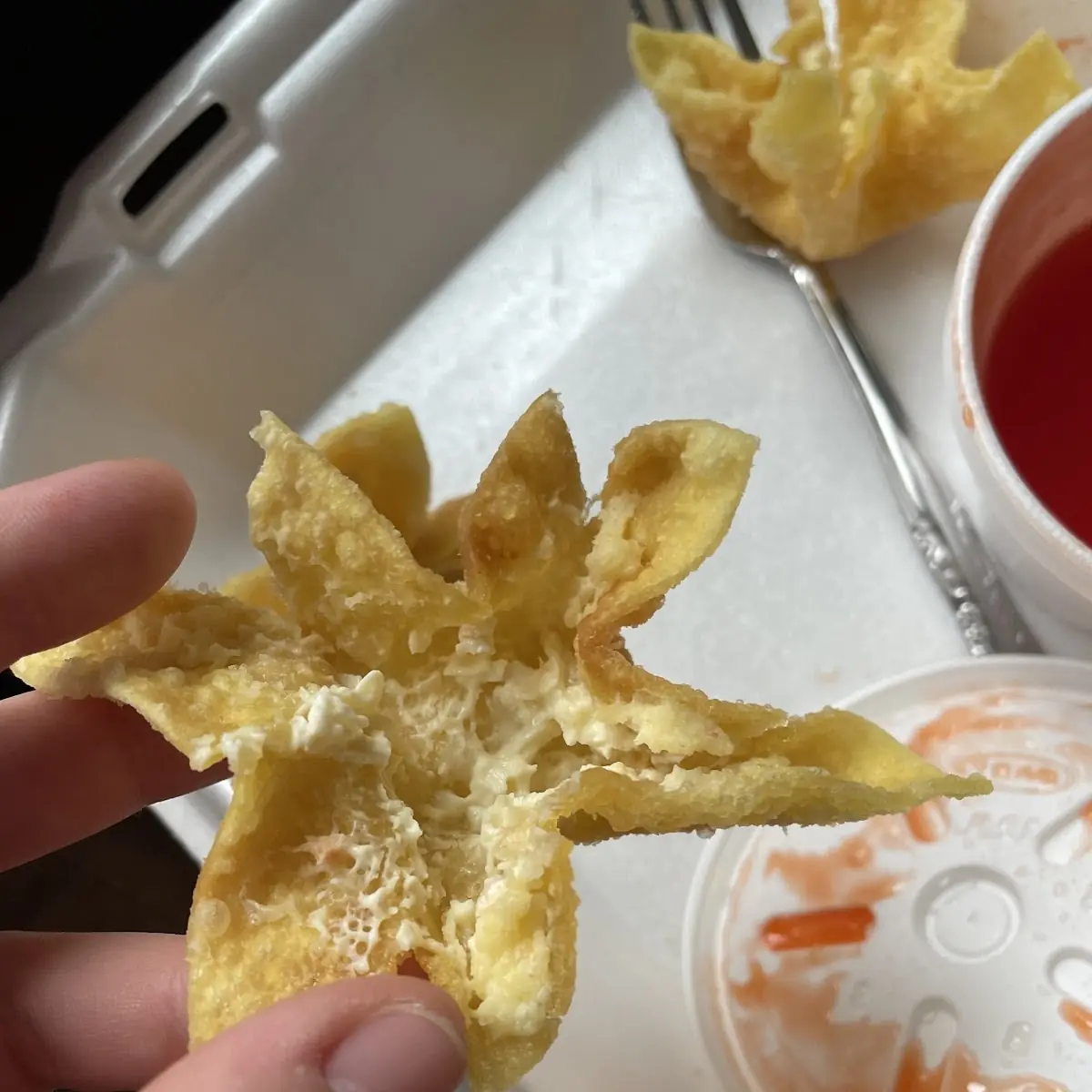 Crab Rangoon 8