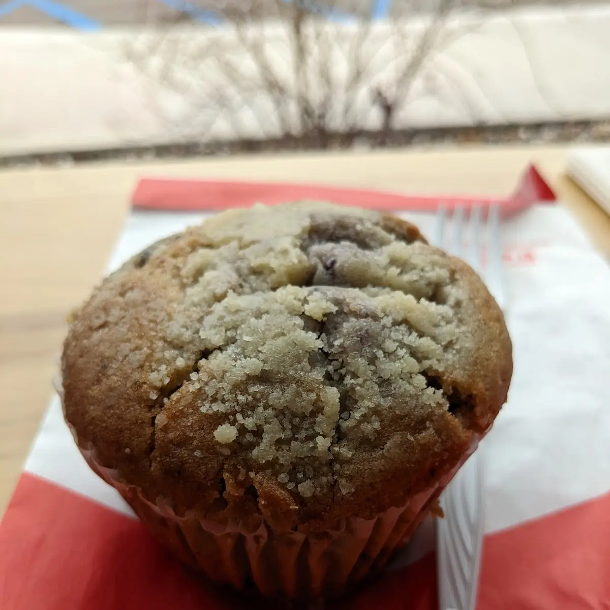 Blueberry Muffin