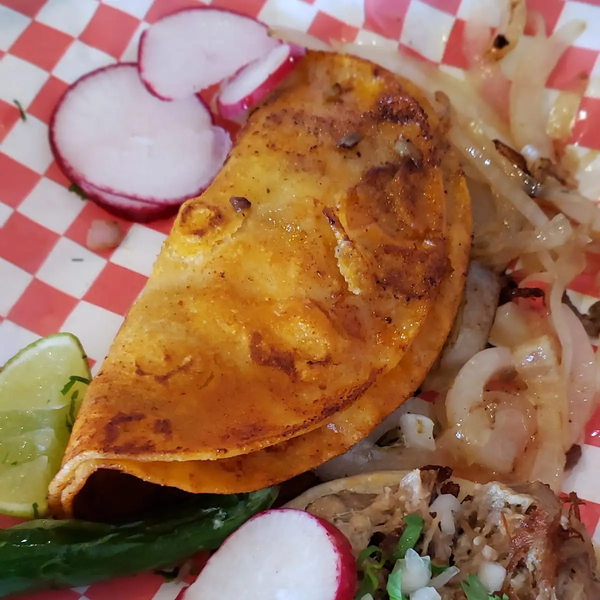Barbocoa and Carnitas Tacos