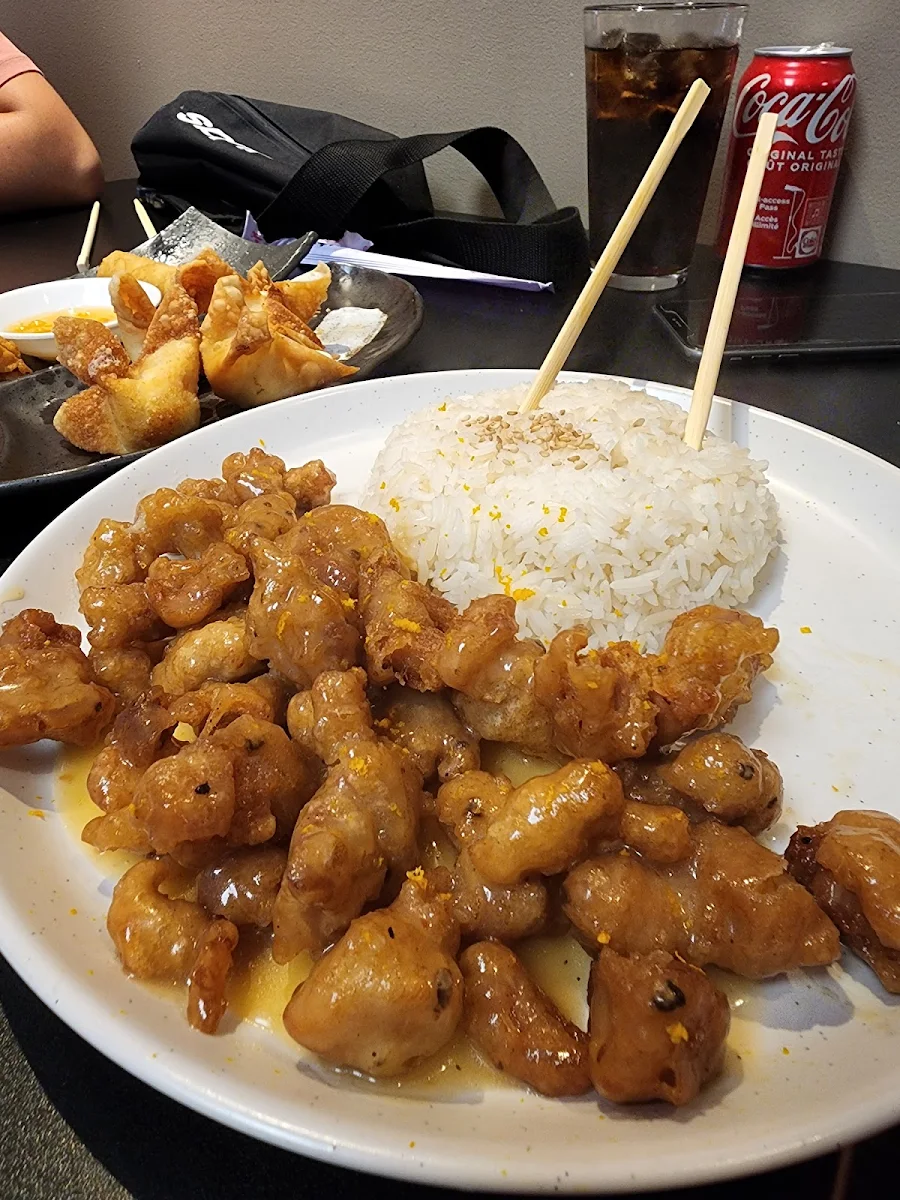 Orange Chicken with Rice