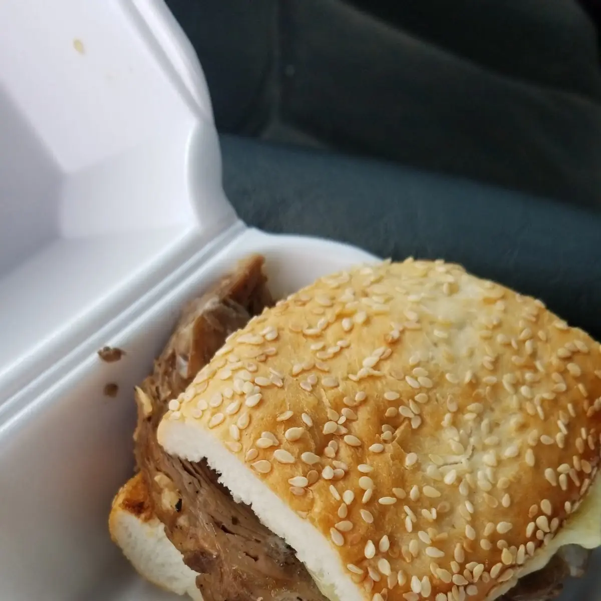 Steak and Cheese