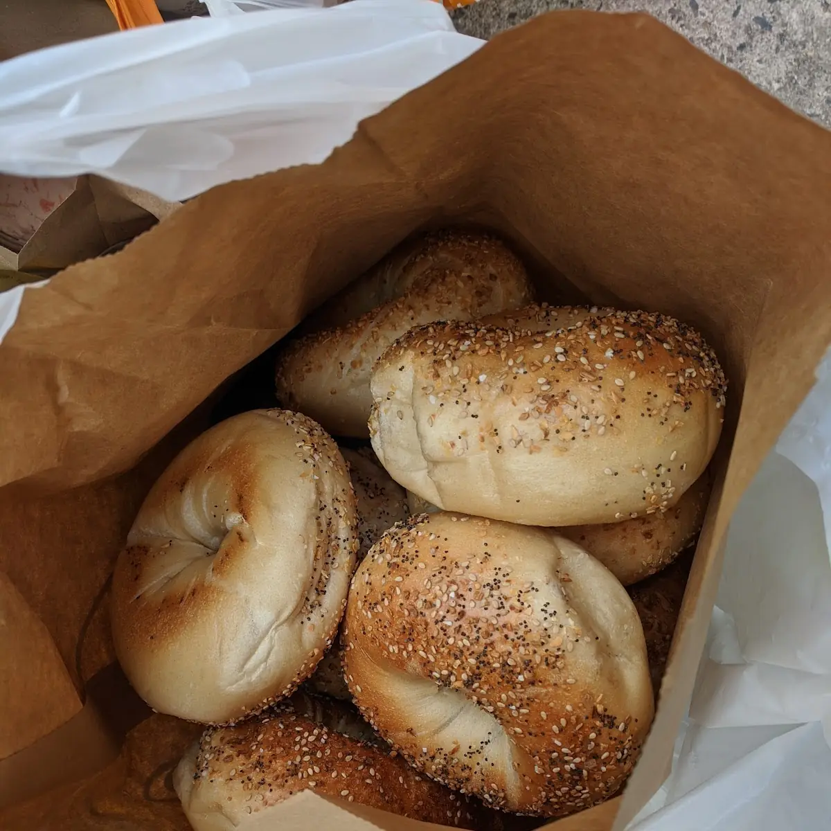 Dozen Bagels
