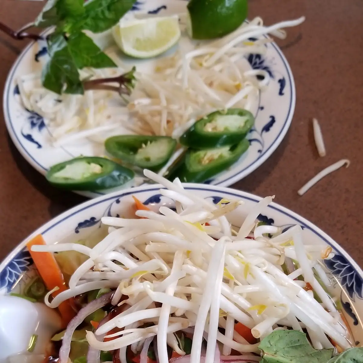 Veggie Pho GA