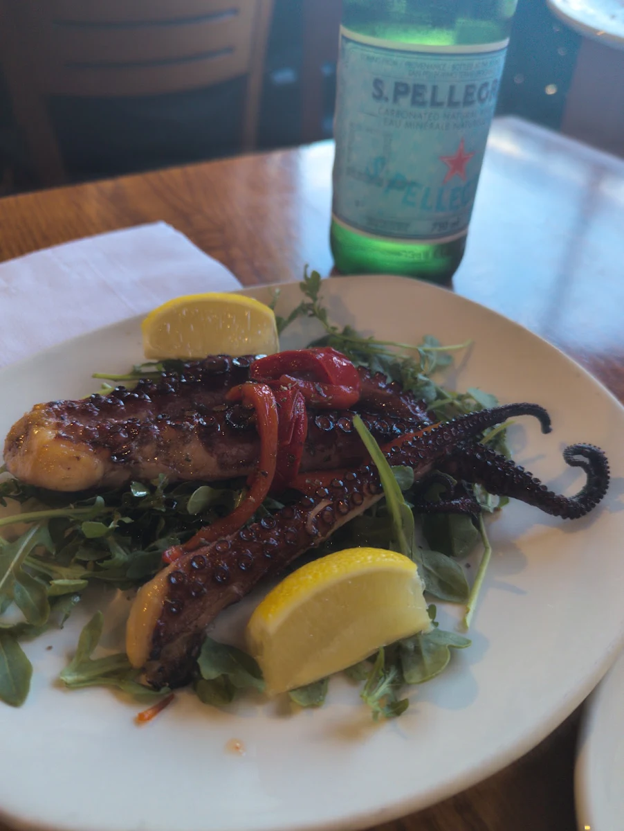 Grilled Octopus A