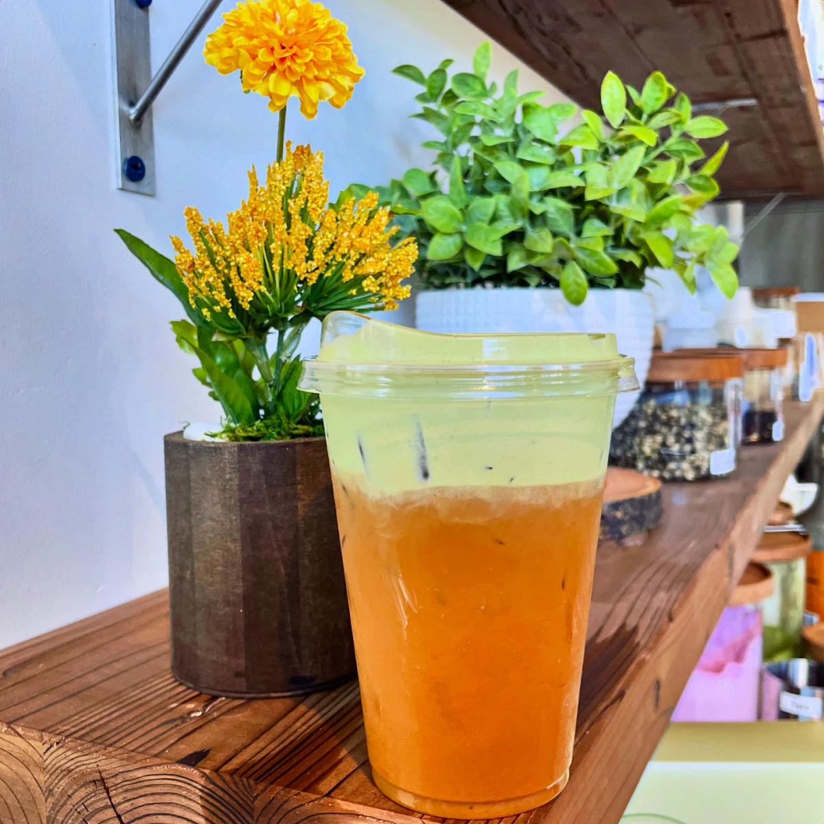Matcha Sea Salt Cold Brew
