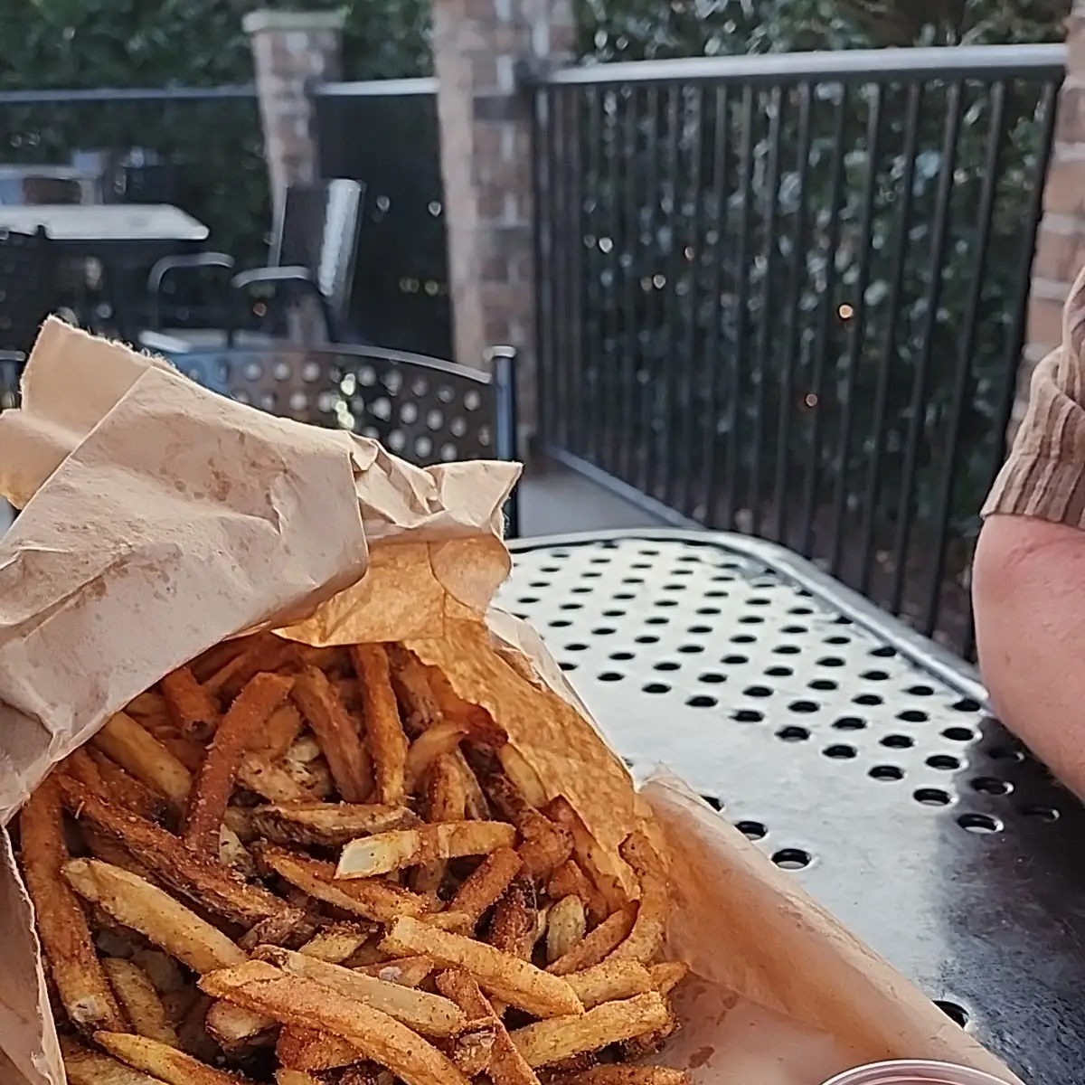 Seasoned Fries