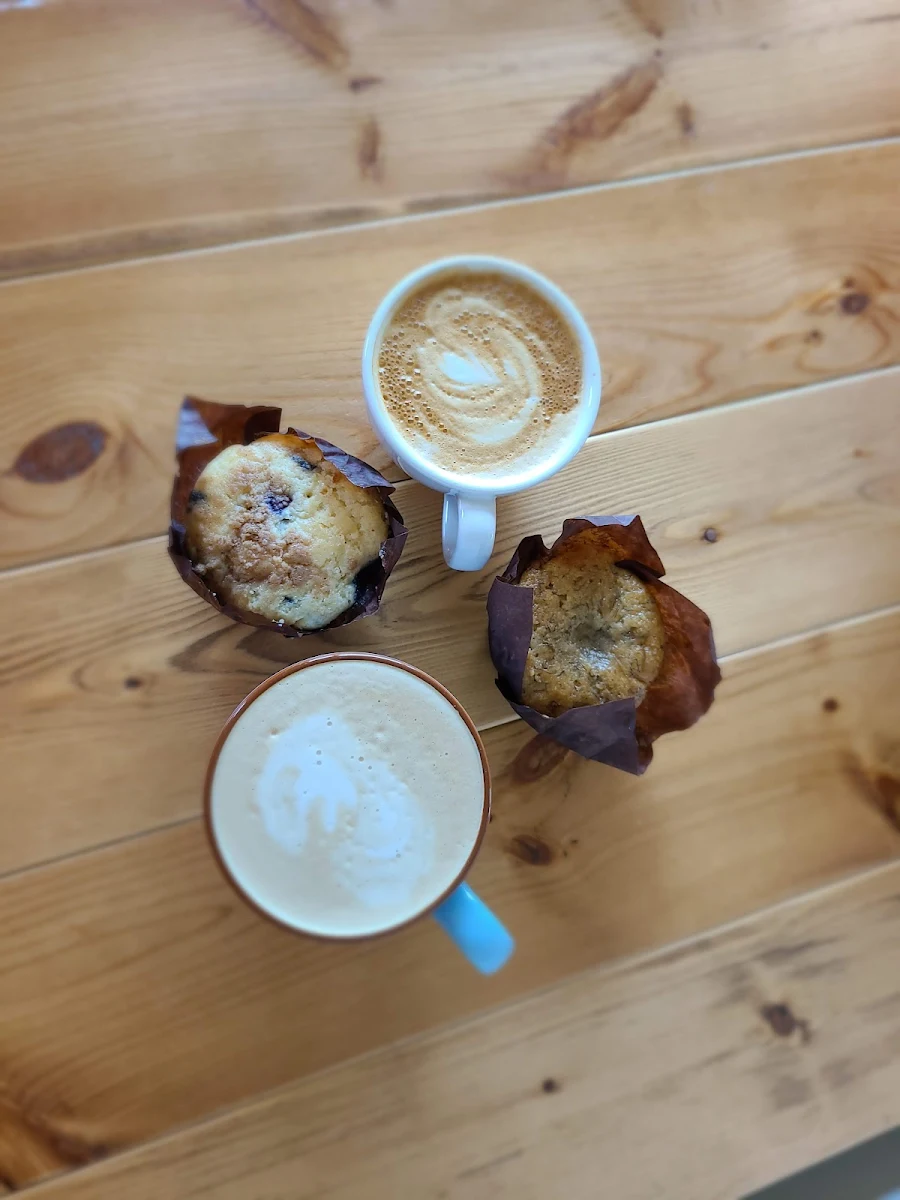 Blueberry Muffin