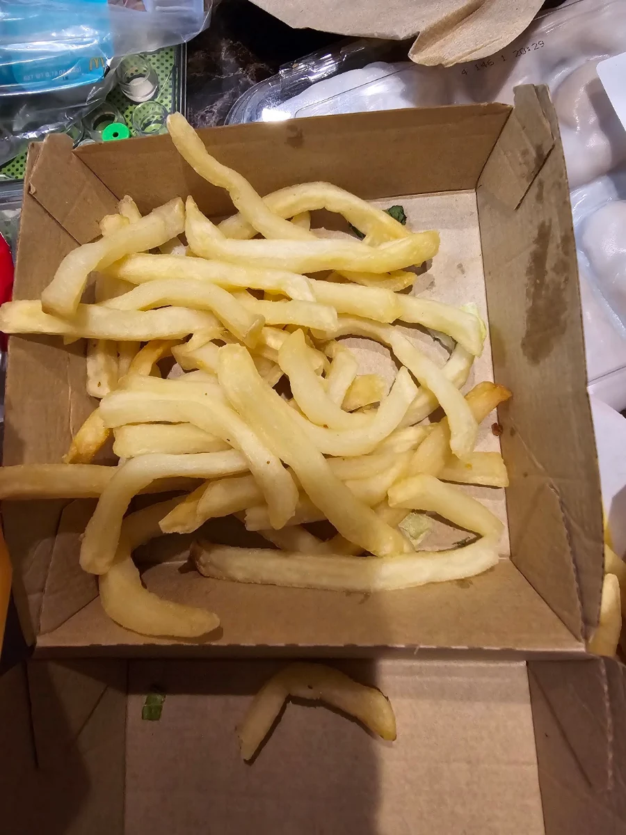World Famous Fries
