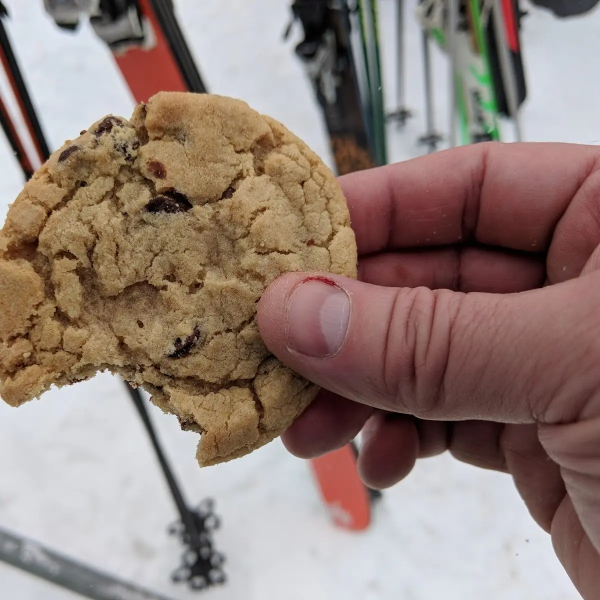 Chocolate Chip Cookie