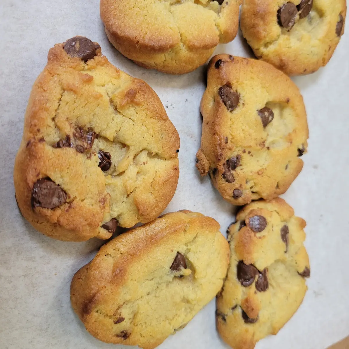 Chocolate Chip Cookie