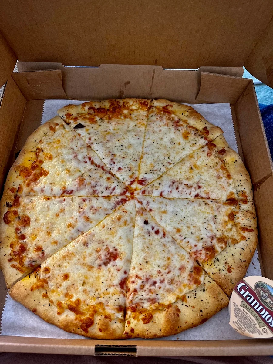 Extra Cheese Pizza