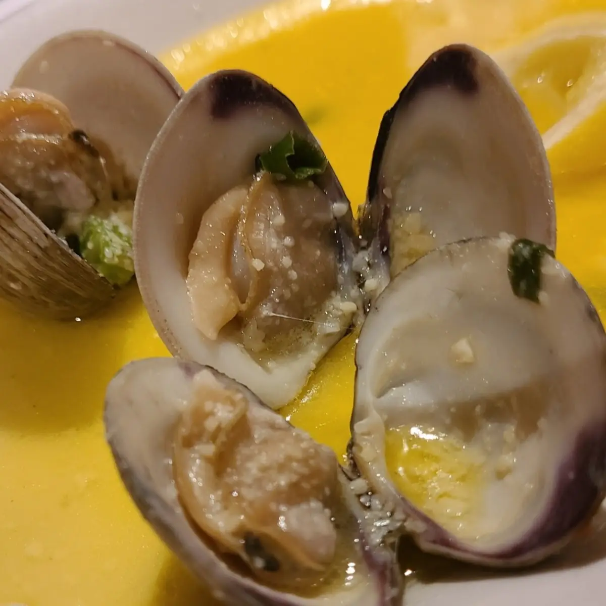 Garlic Scallion Steamed Clams