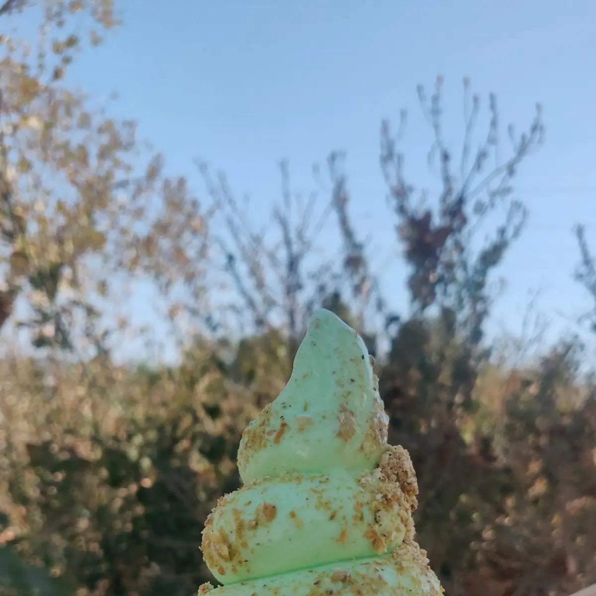 Pistachio Soft Serve Ice Cream