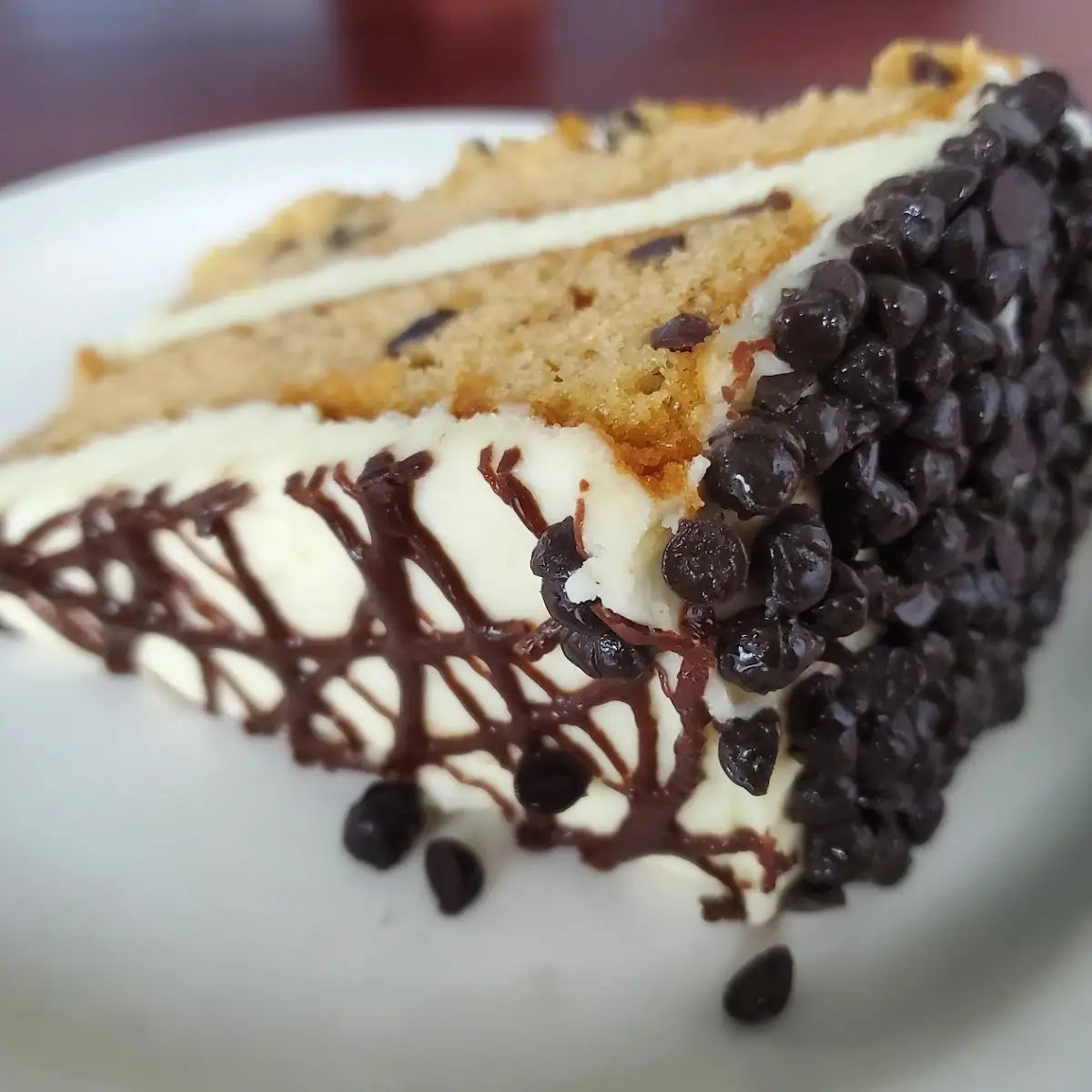 Moist Chocolate Chip Cake