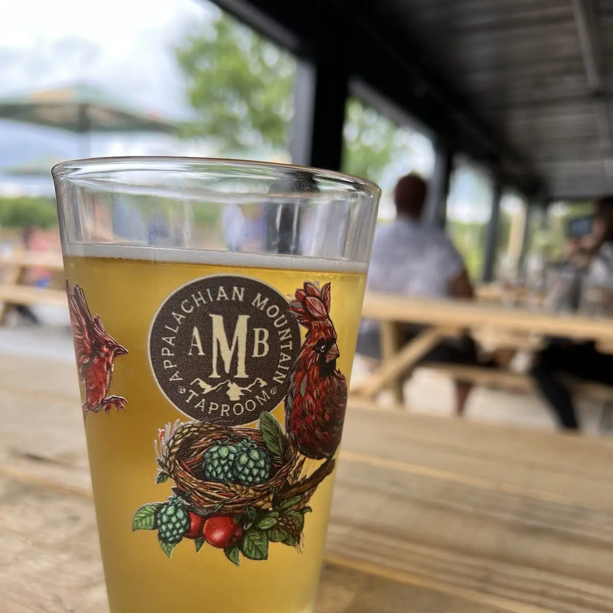 Southern Apple Cider