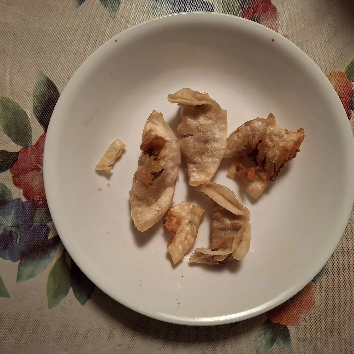 Fried Gyoza