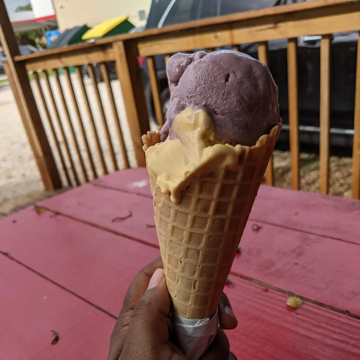 Black Cherry and Mango Ice Cream