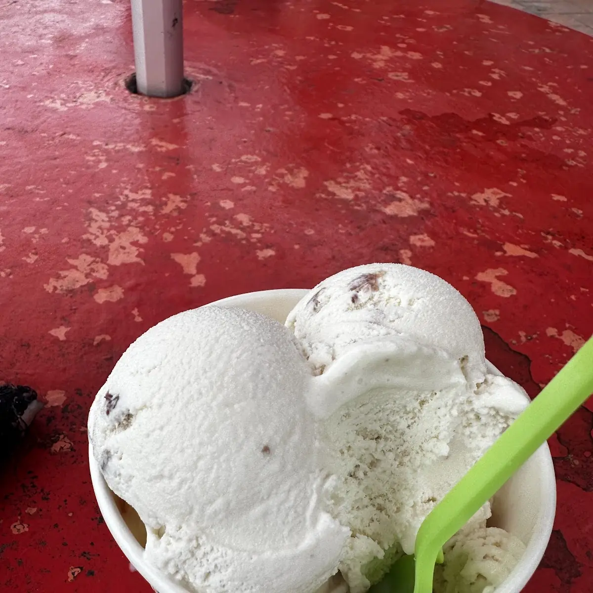 Rum Raisin