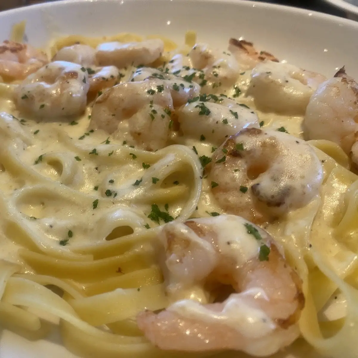 Shrimp Alfredo