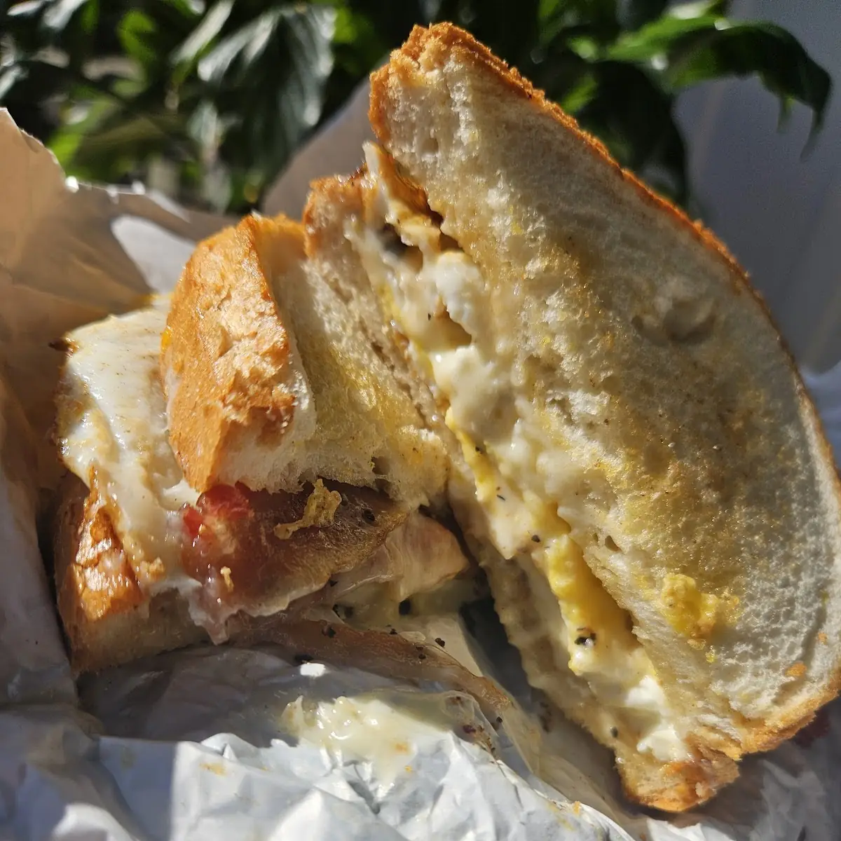 Bacon Egg Cheese Sandwich