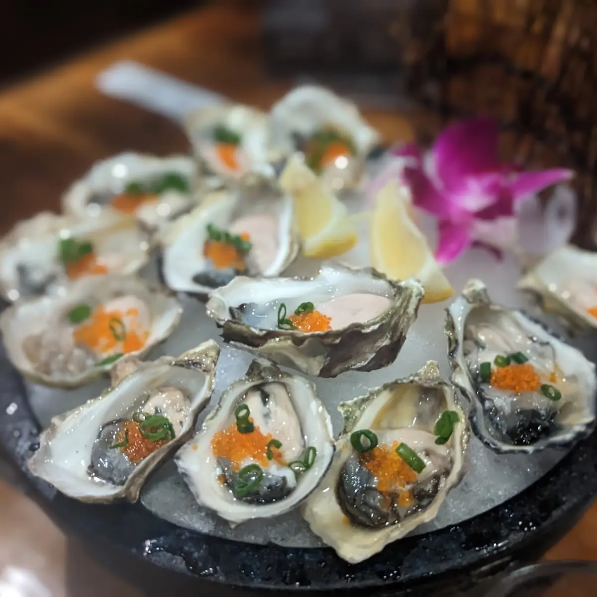 Oyster Special One Dozen
