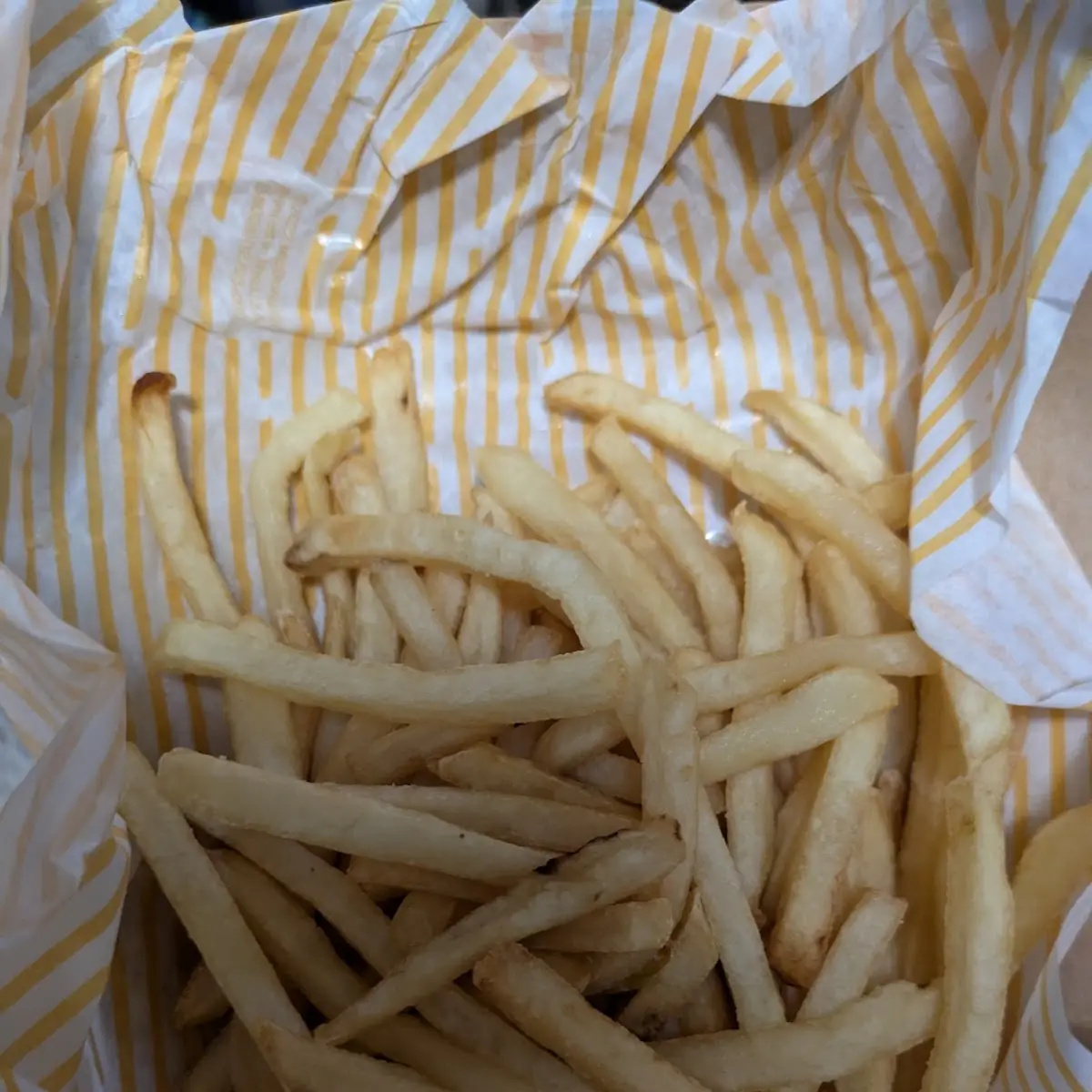 World Famous Fries