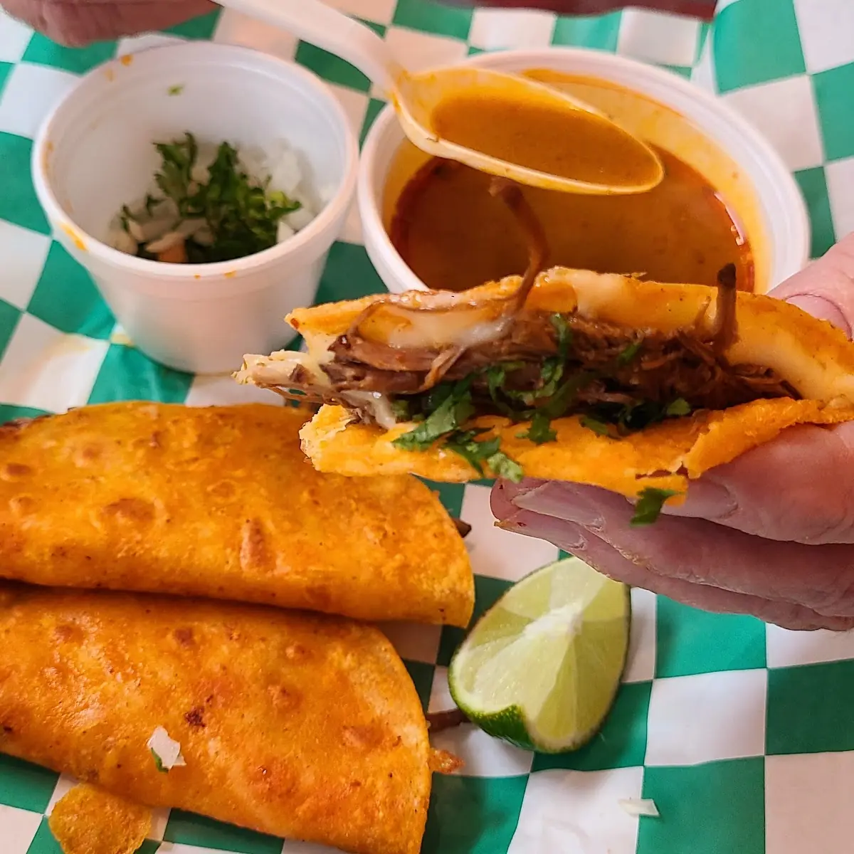 Quesadilla with Beef
