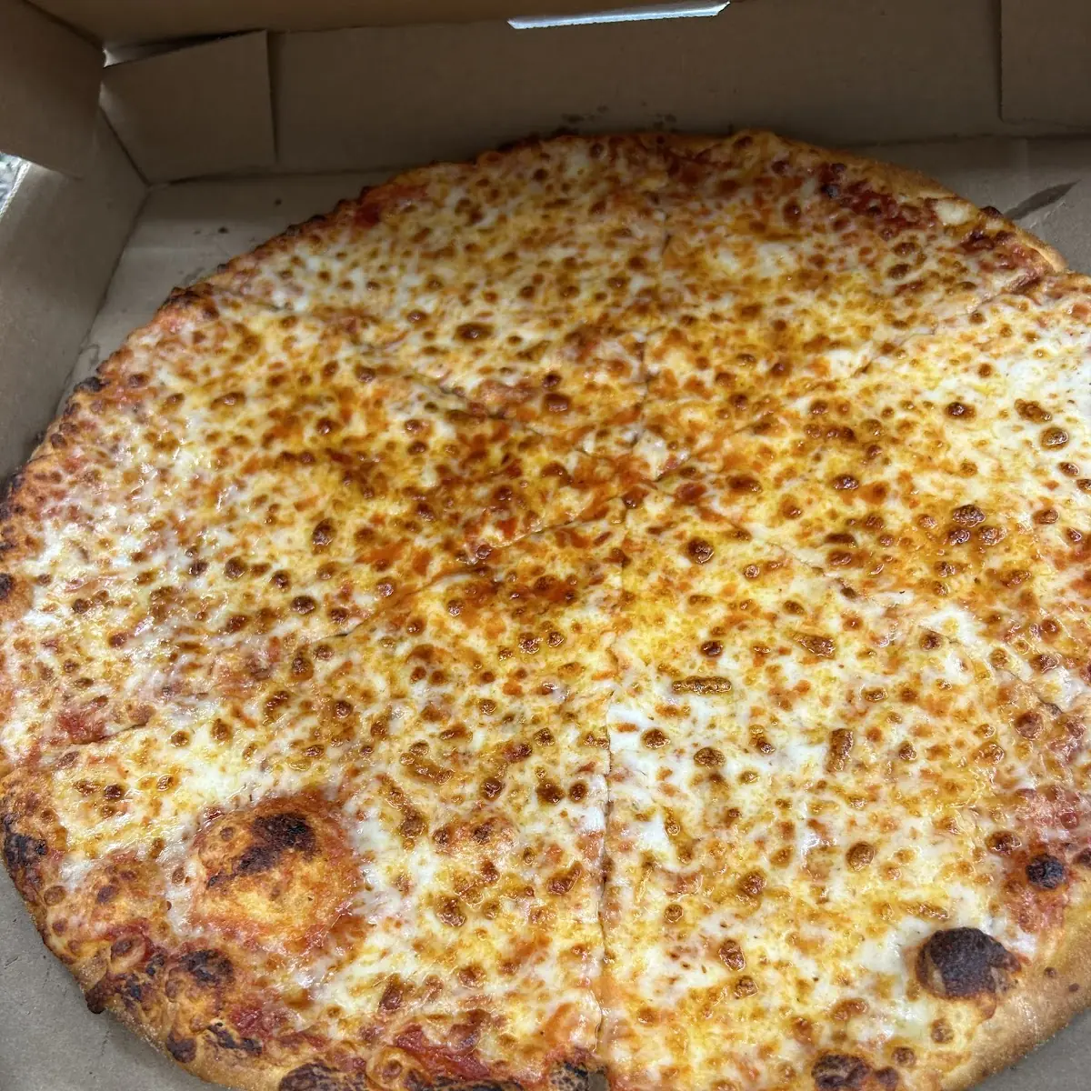 Cheese Pizza