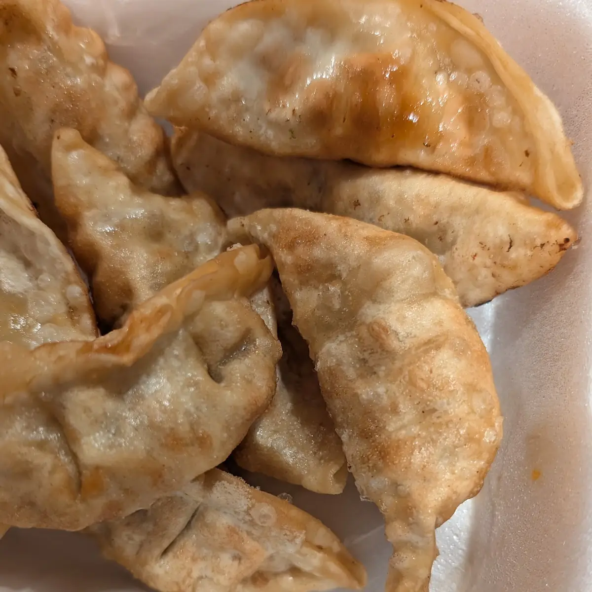 Pan Fried Dumplings