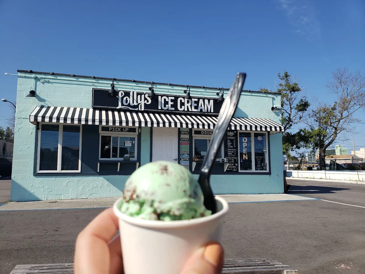 Mini Mint Chocolate Chip Scoop