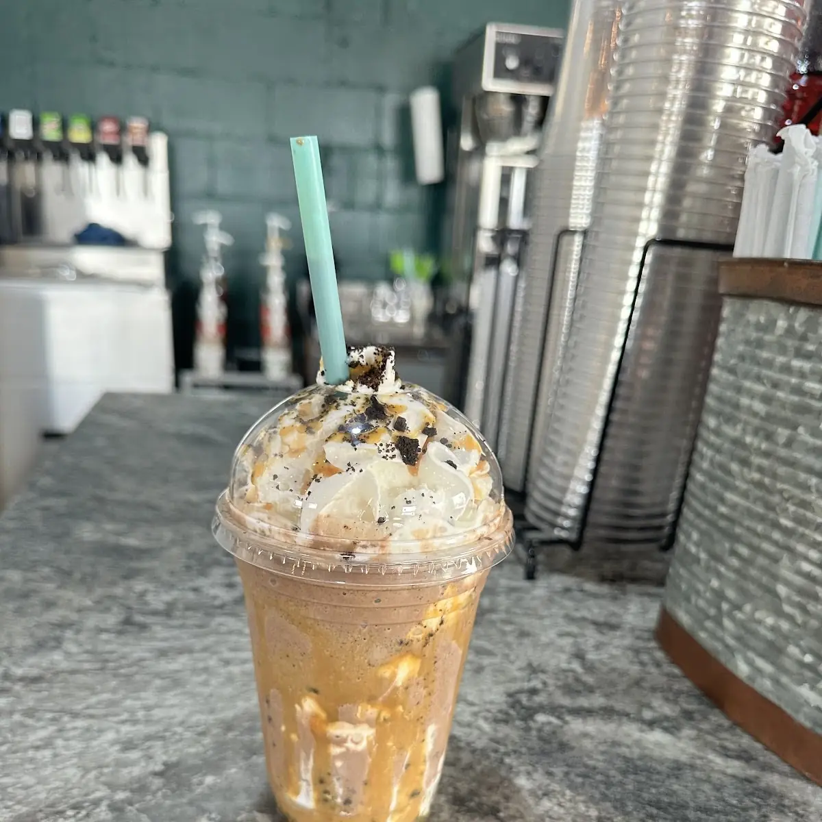 Turtle Mocha
