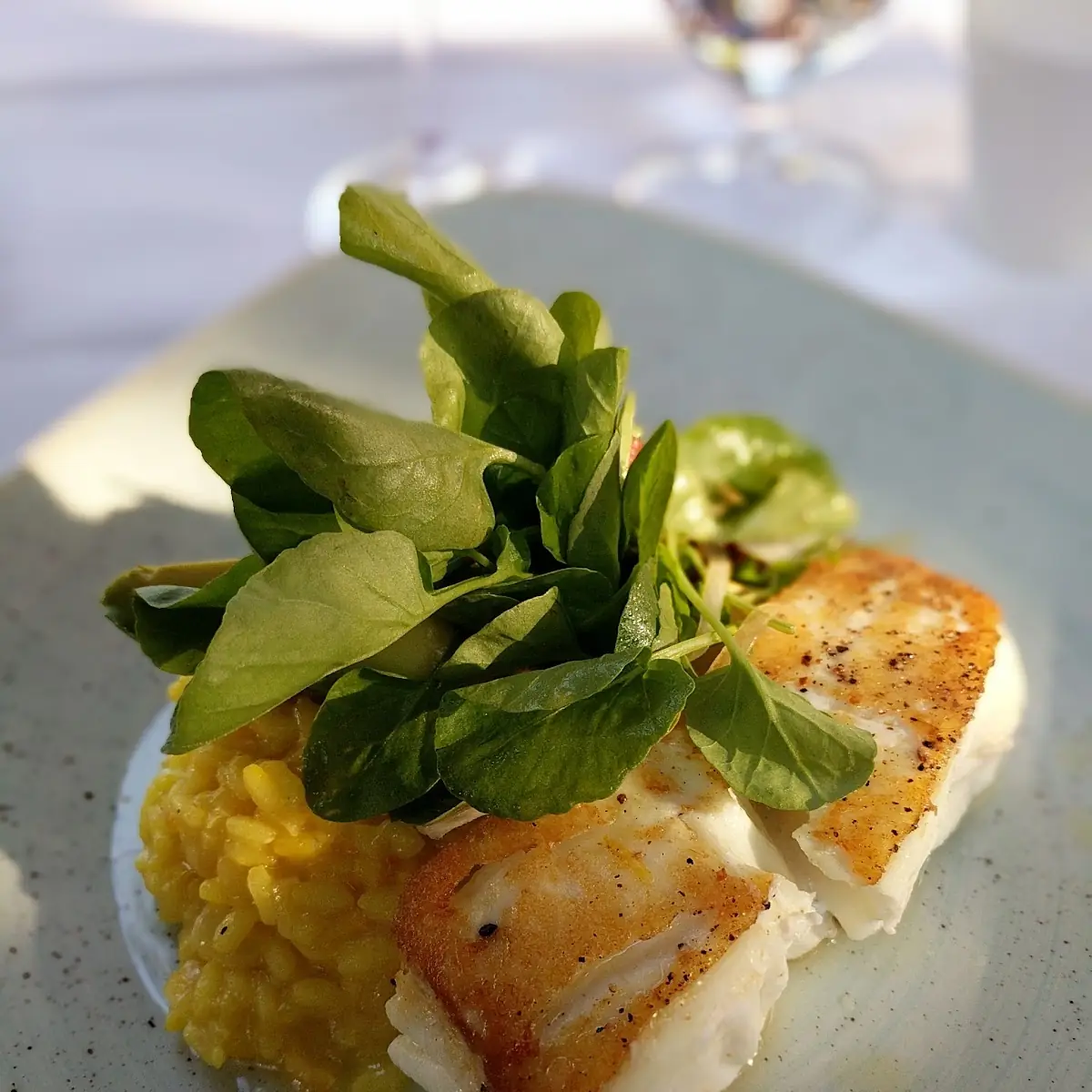 Halibut with Saffron Risotto