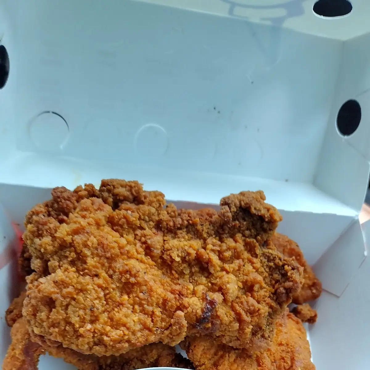 Spicy Chicken Strips