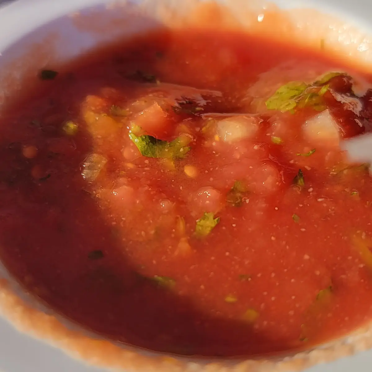 Tortilla Soup