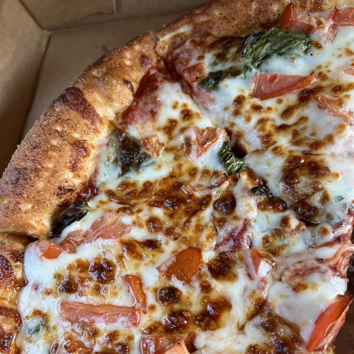 Tomato Basil and Mozzarella