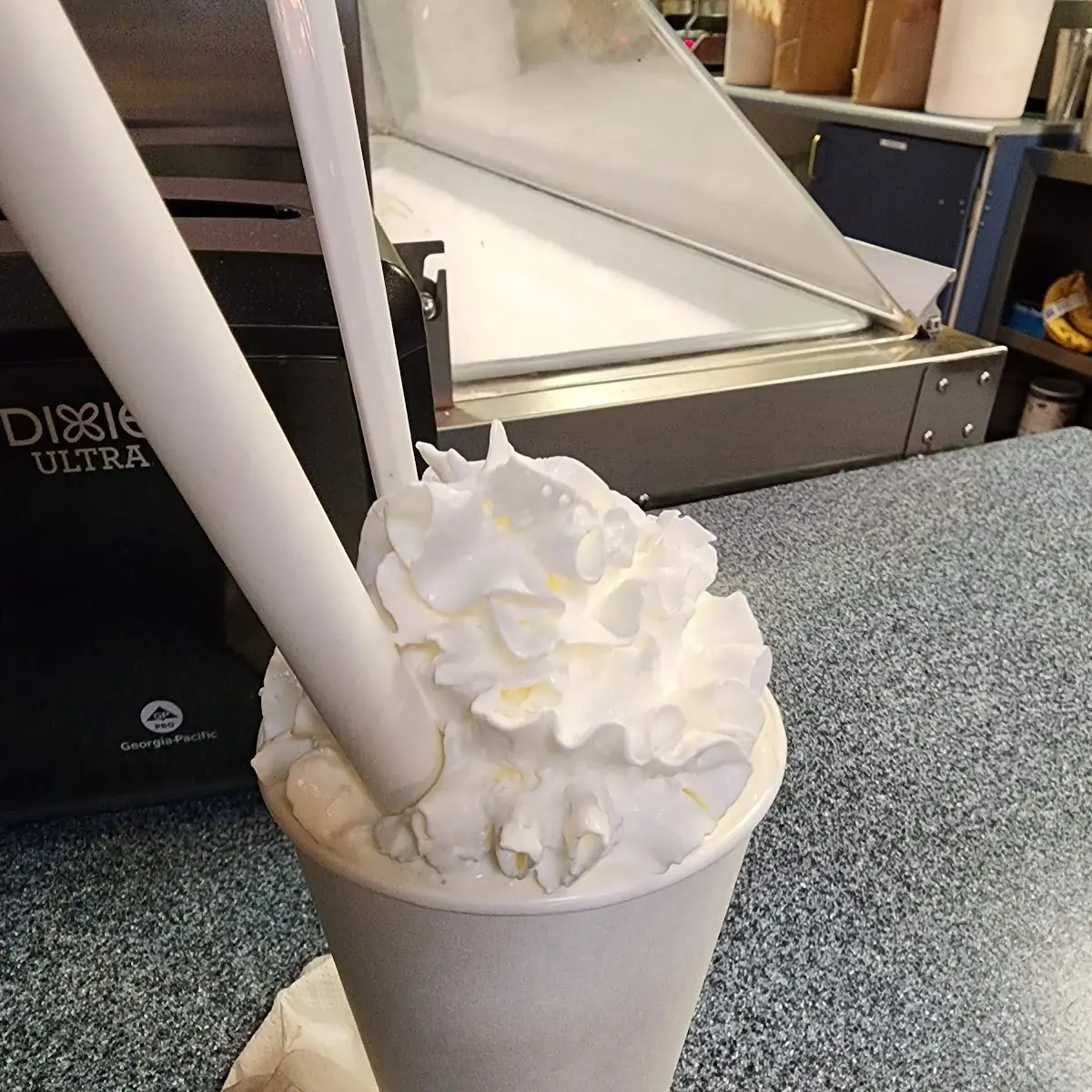 Malted Vanilla Bean Shakes