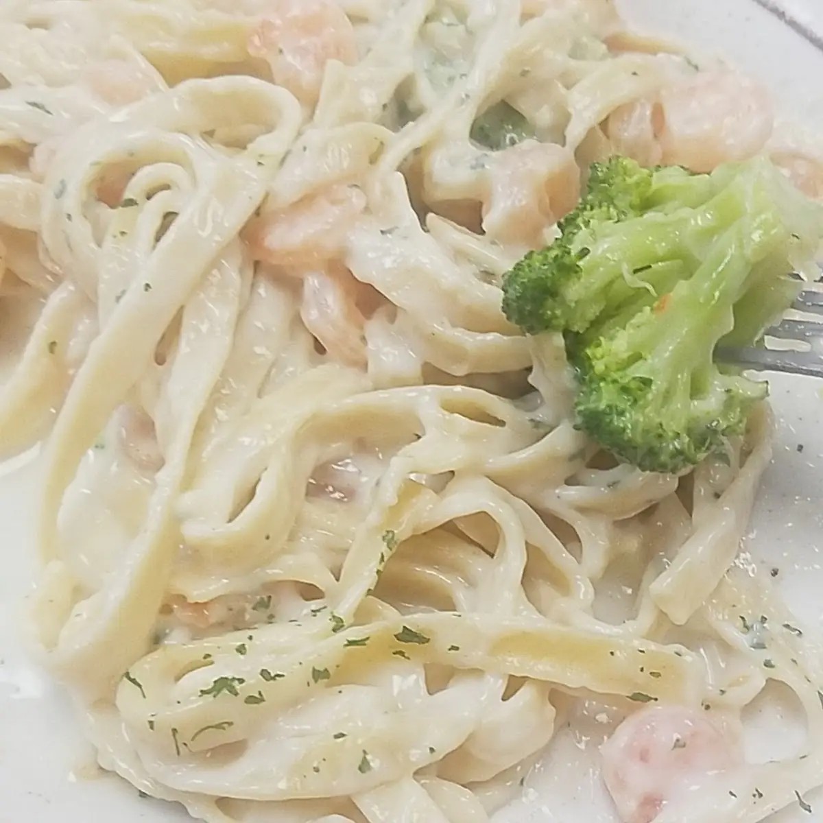 Shrimp Alfredo
