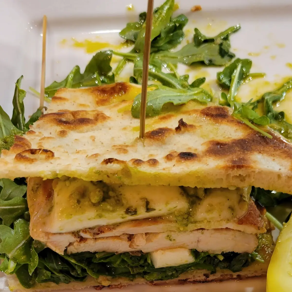 Grilled Chicken Panini