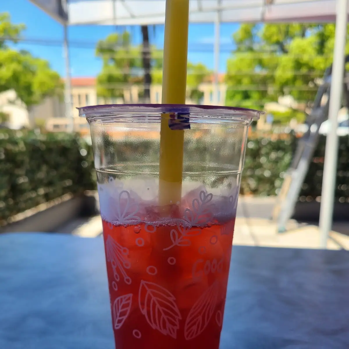 Sparkling Fruit Refresher