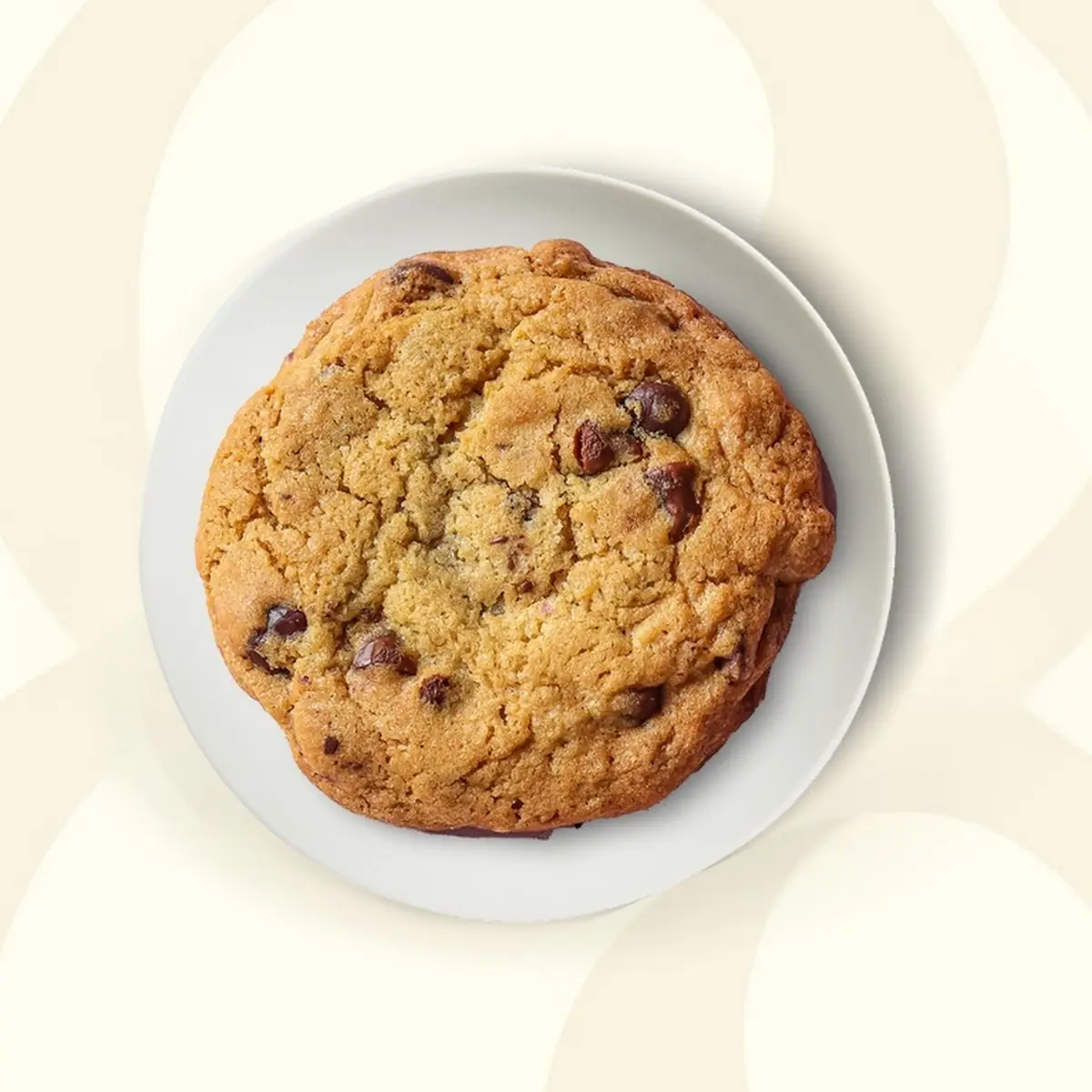 Chocolate Chip Cookie 1pz
