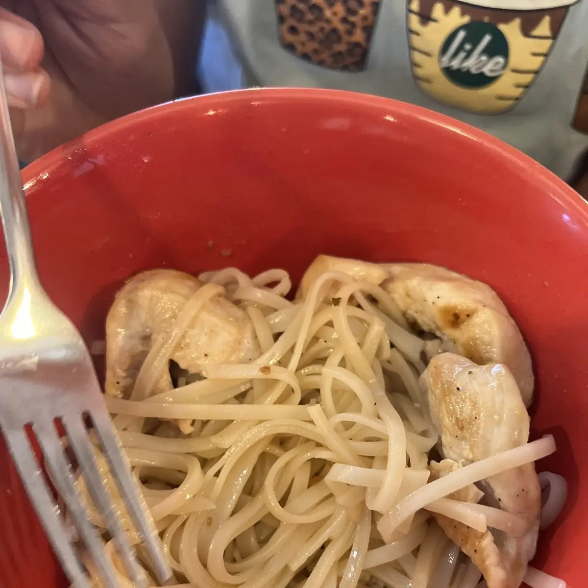 Kids Chicken Noodle