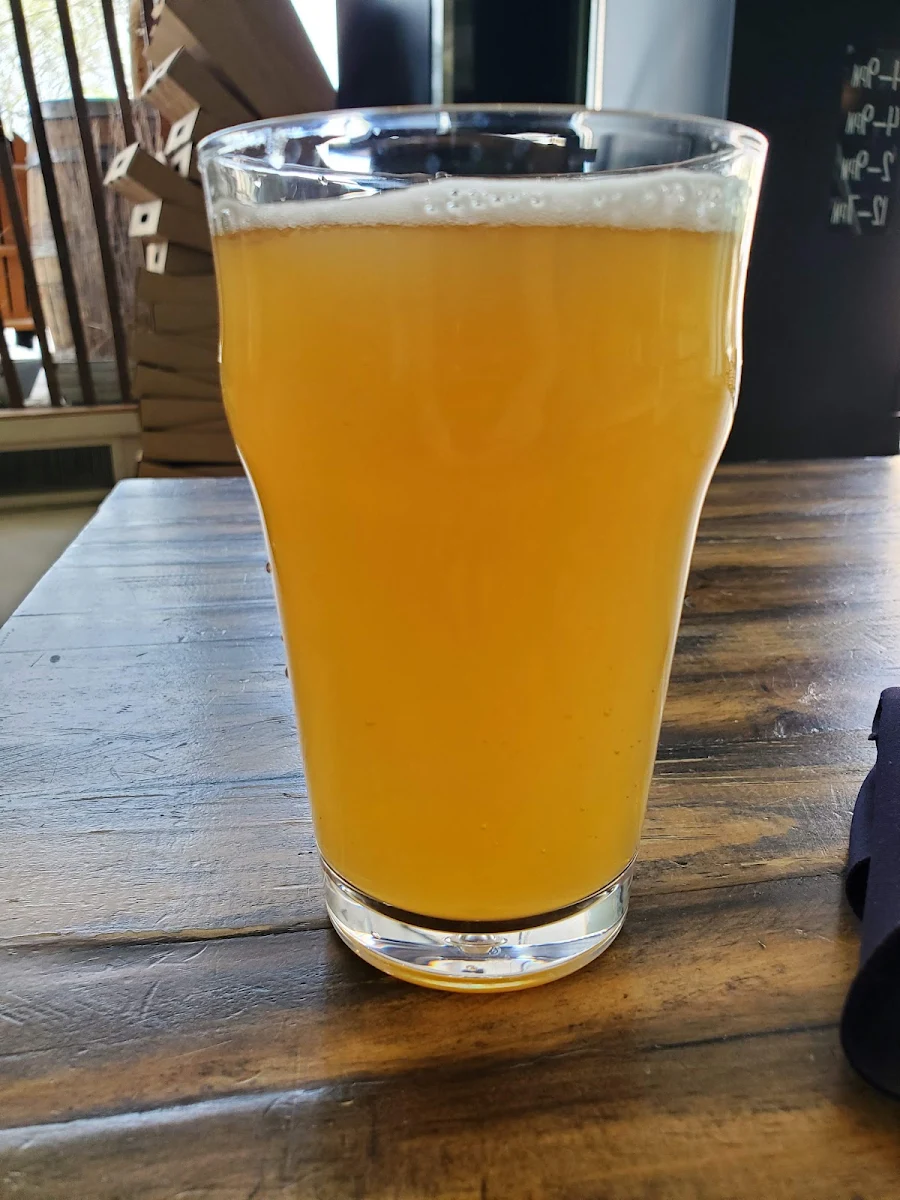 Pint of Craft Beer