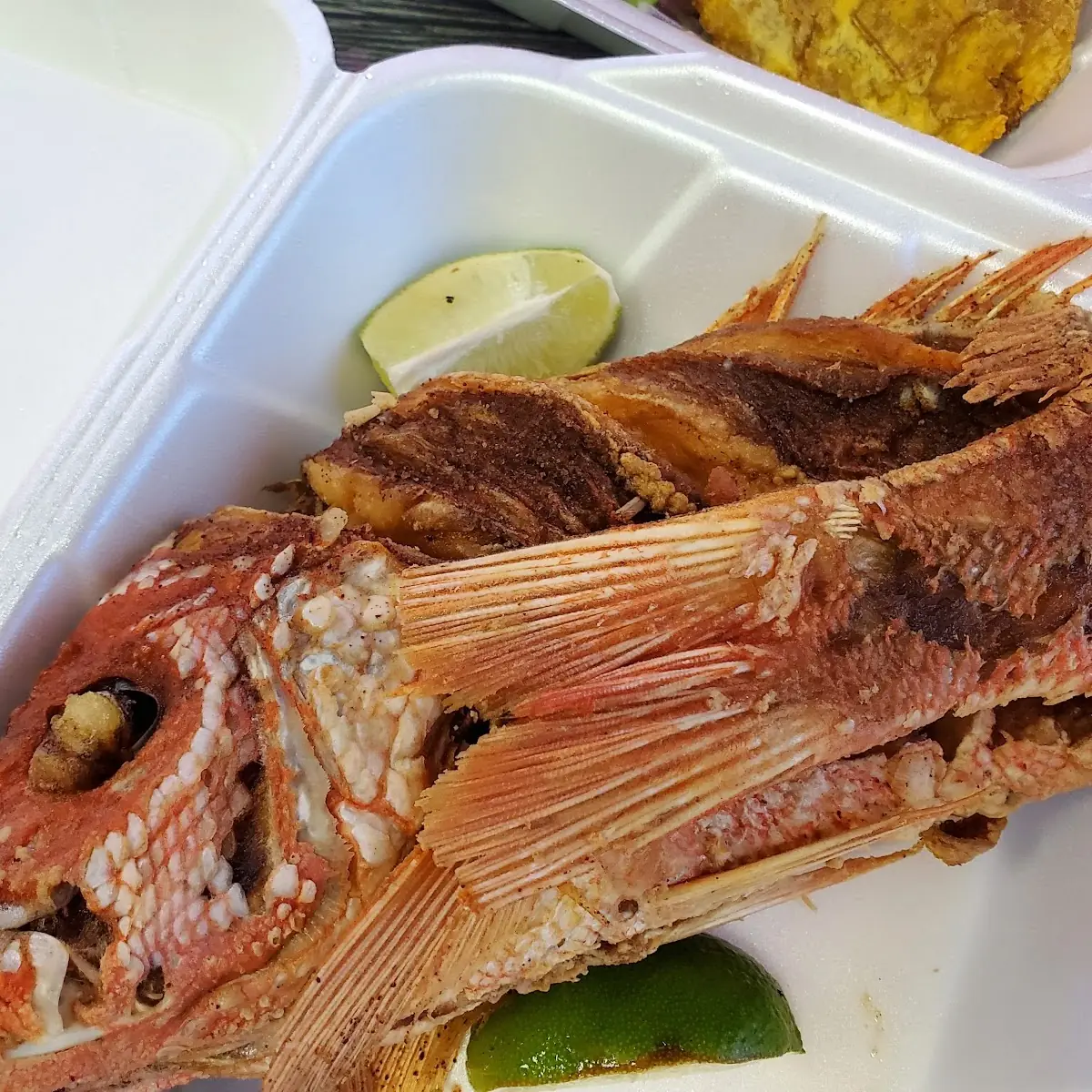 Fried Snapper