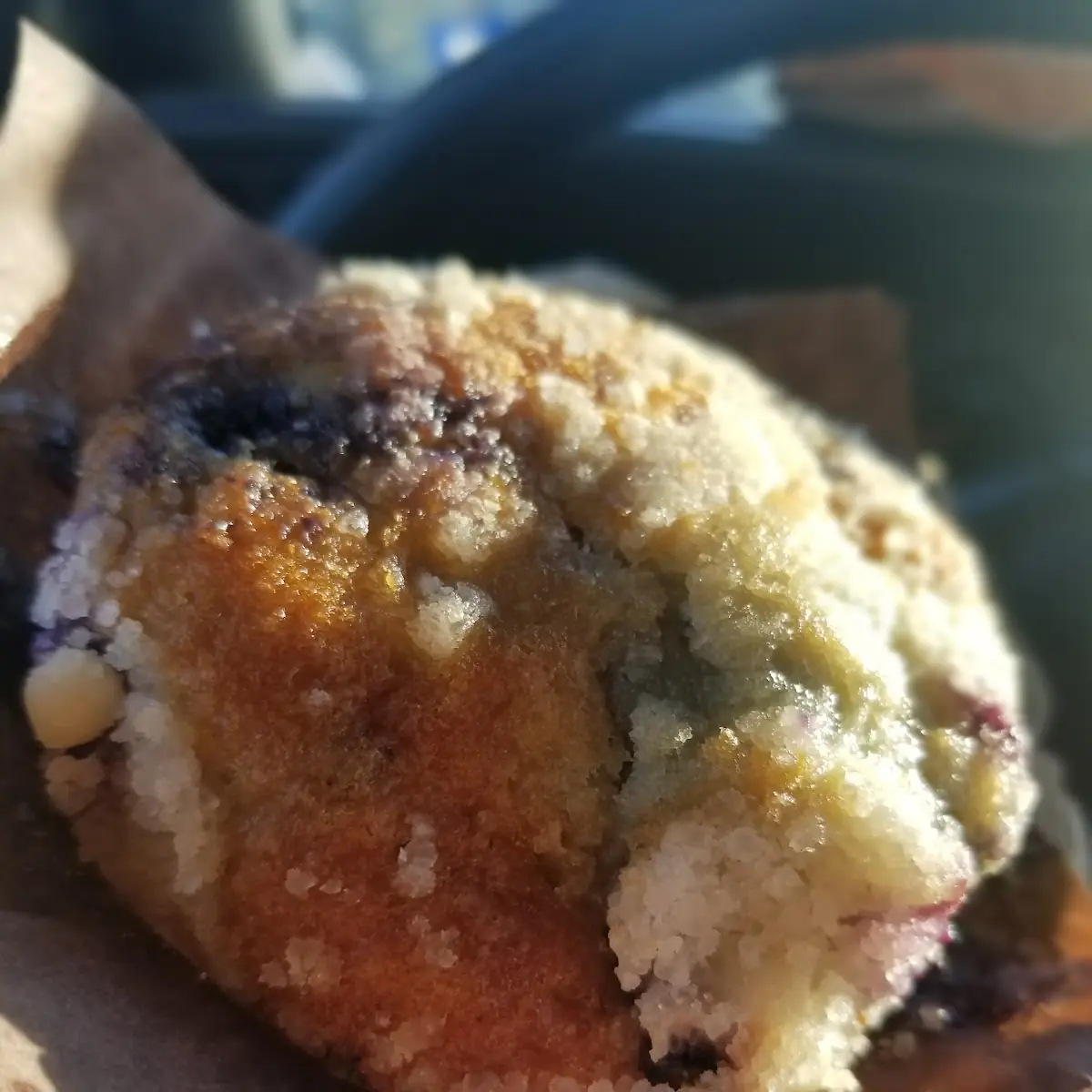 Blueberry Muffin