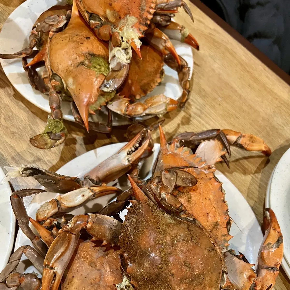 Steamed Blue Crabs