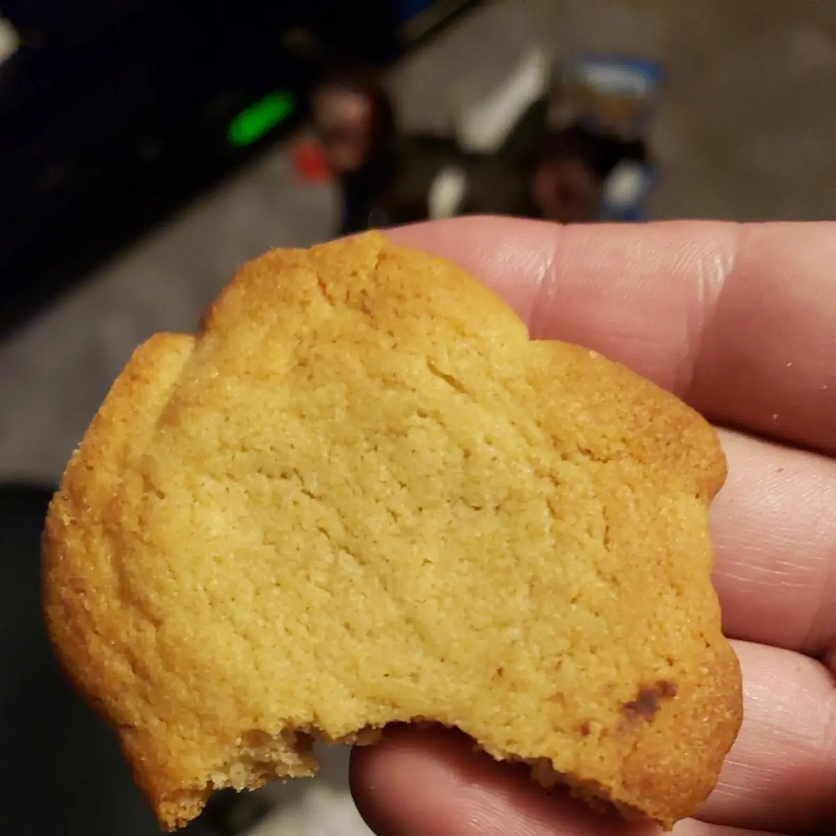 Chocolate Chip Cookie