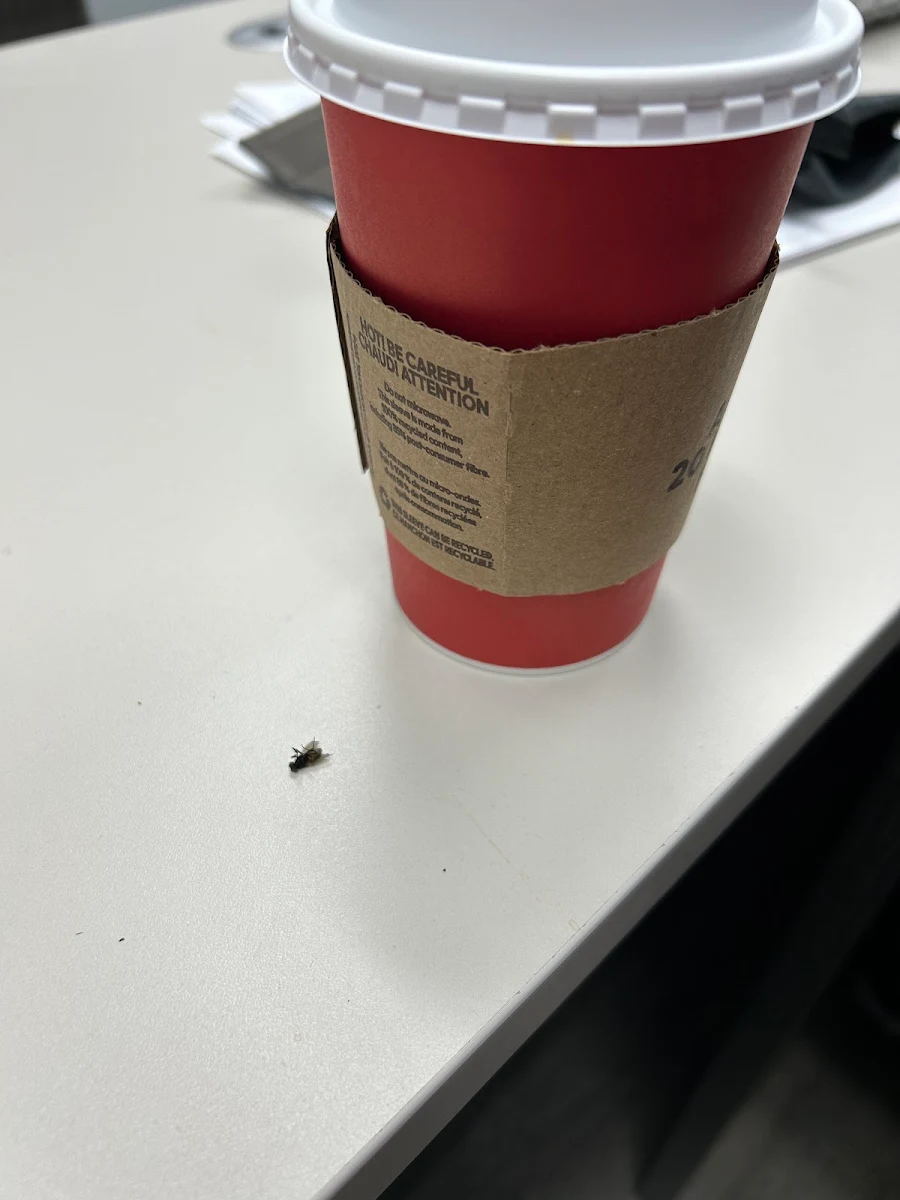 Highlights, Tim Hortons