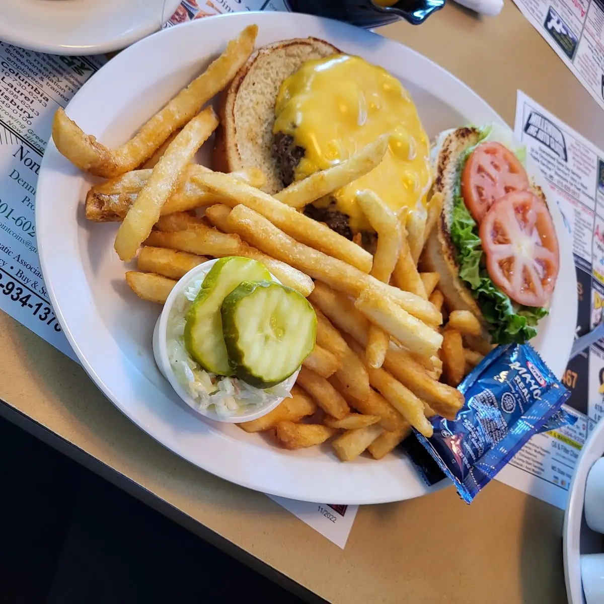 Cheese Burger and Fries