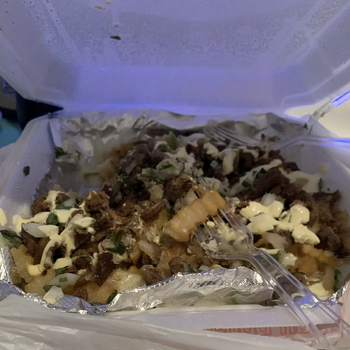 Carne Asada Fries