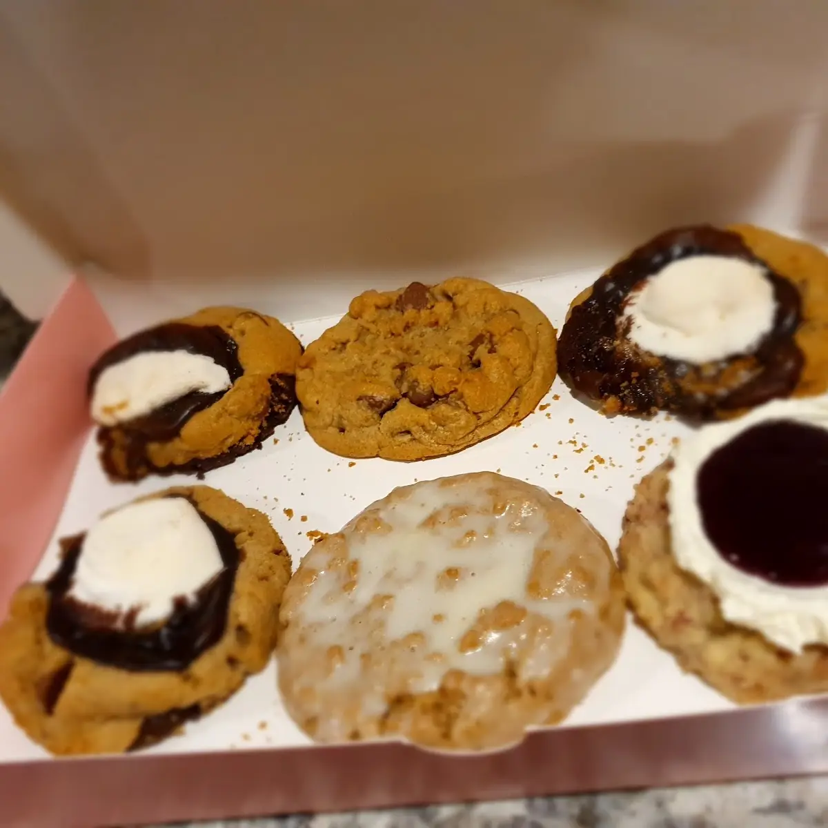 Smores Iced Oatmeal Cookie Choco Chip